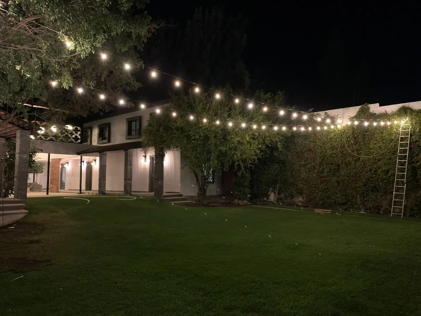 Luces Edison cruzando el jardín de noche